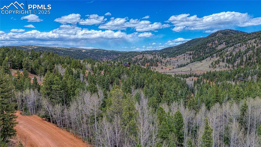 1218 Calcite Drive Divide CO 80814