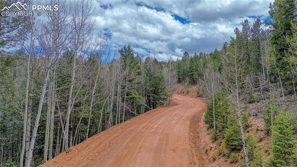 1218 Calcite Drive Divide CO 80814