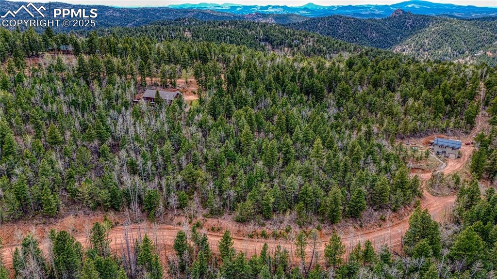 1218 Calcite Drive Divide CO 80814