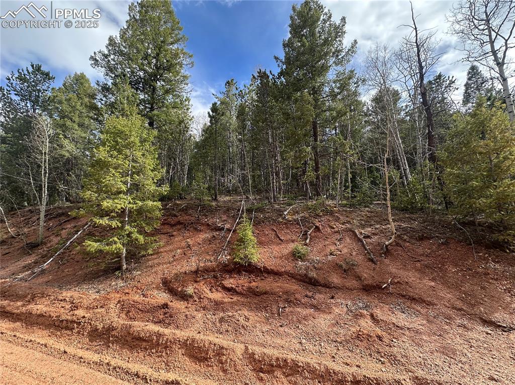 1218 Calcite Drive Divide CO 80814