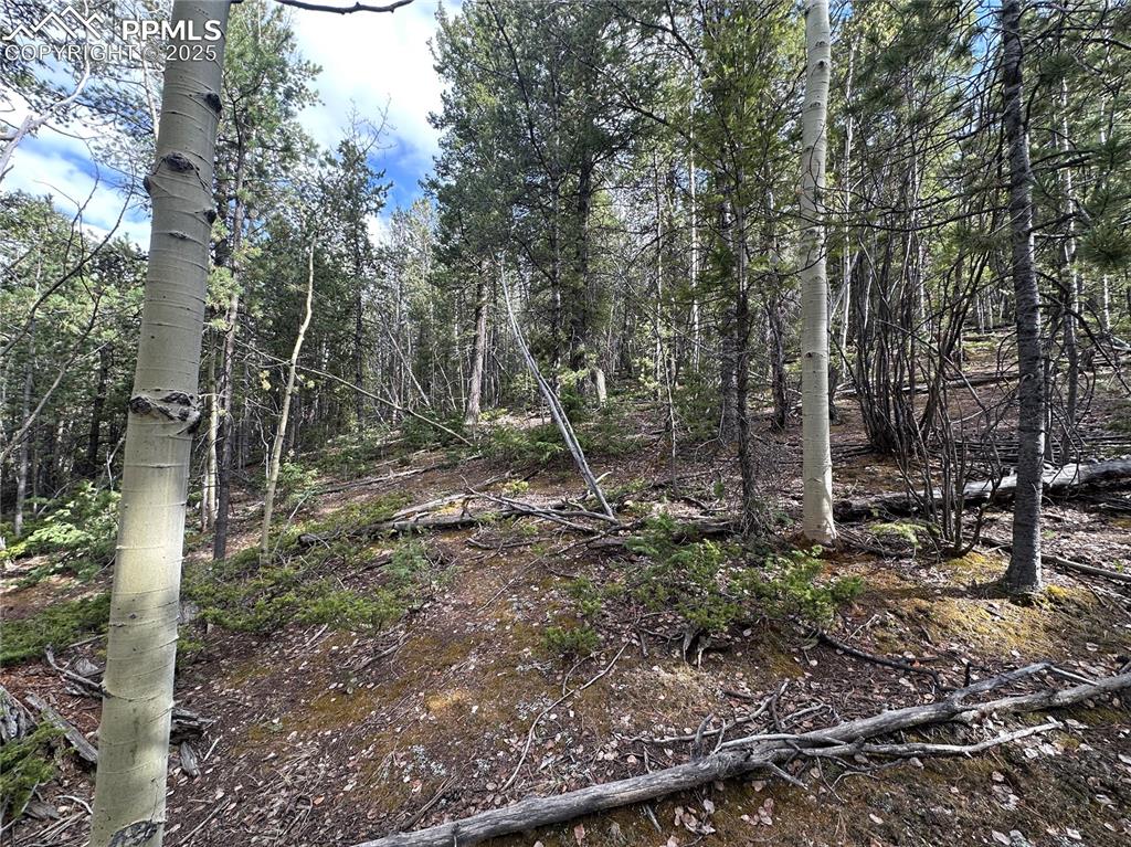 1218 Calcite Drive Divide CO 80814