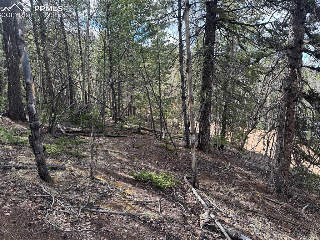 1218 Calcite Drive Divide CO 80814