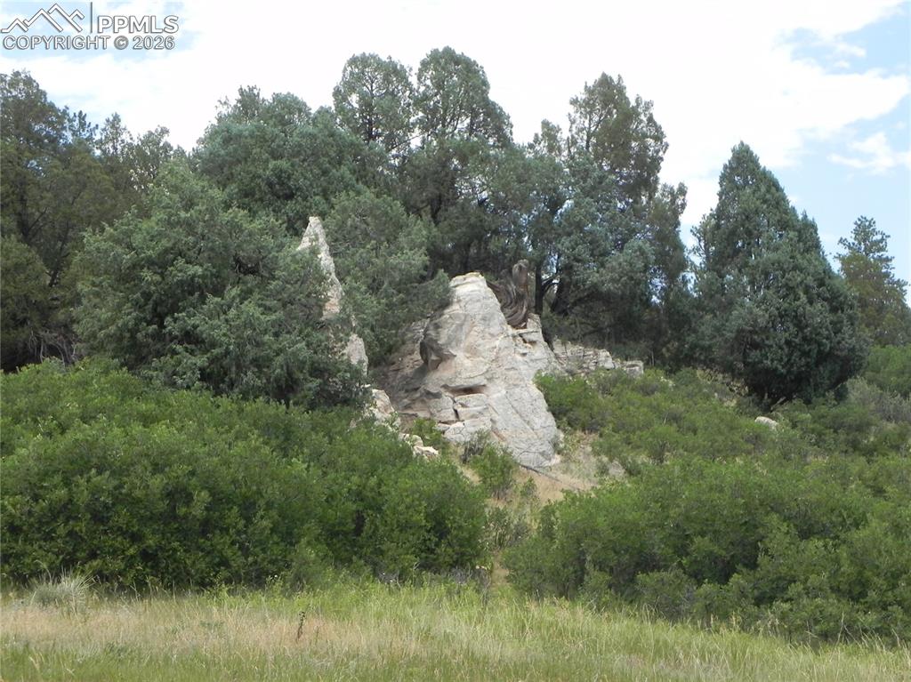 7749 Inca Road Larkspur CO 80118
