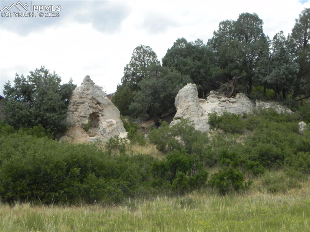 7749 Inca Road Larkspur CO 80118