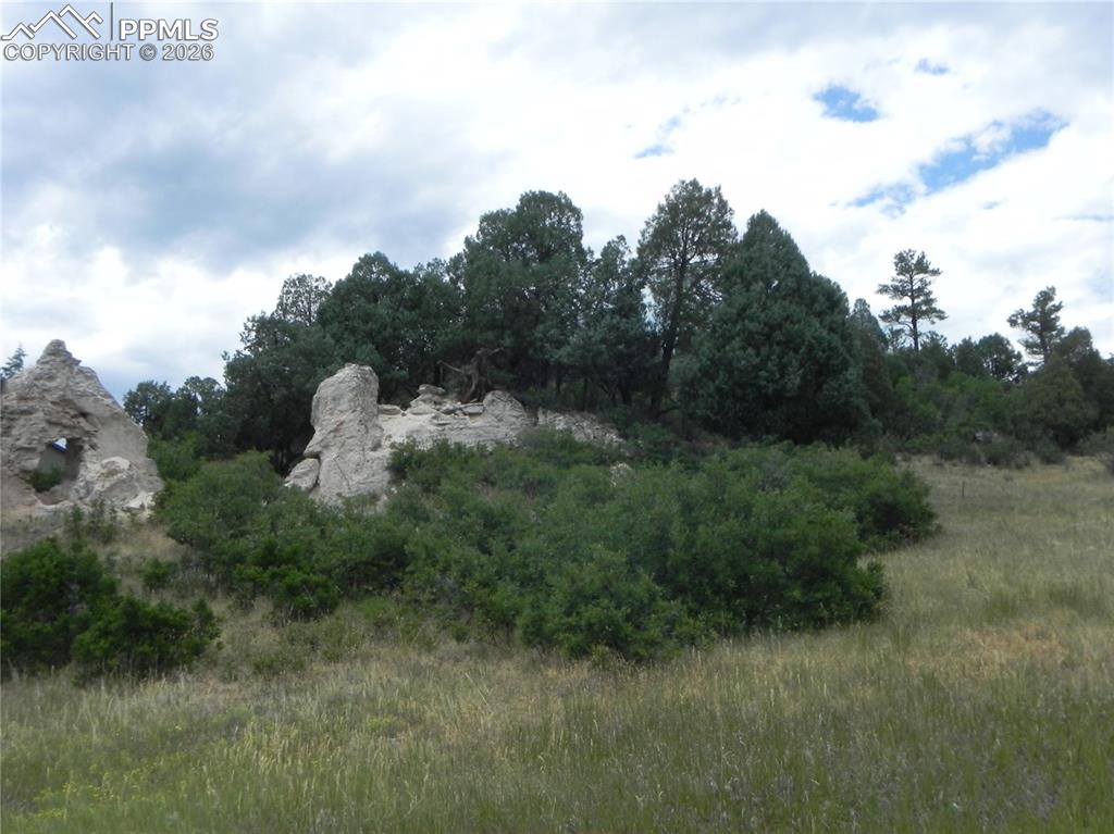 7749 Inca Road Larkspur CO 80118