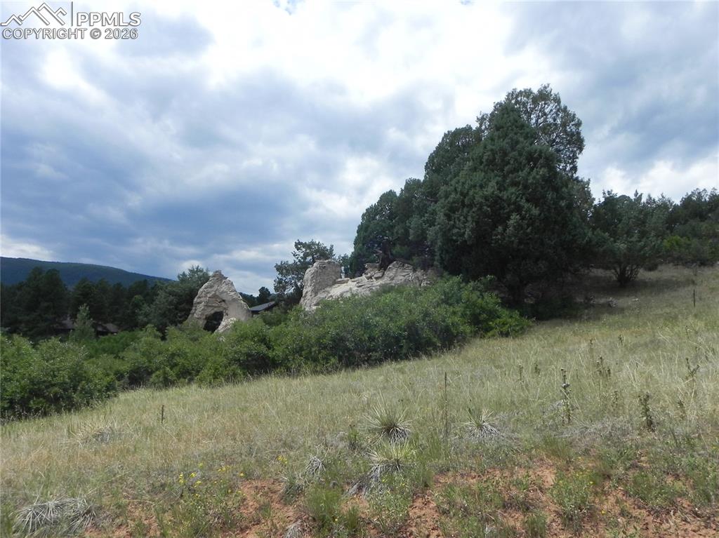 7749 Inca Road Larkspur CO 80118