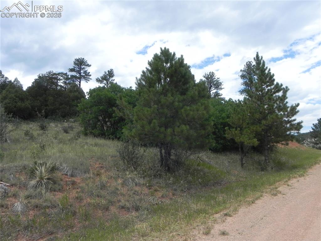 7749 Inca Road Larkspur CO 80118