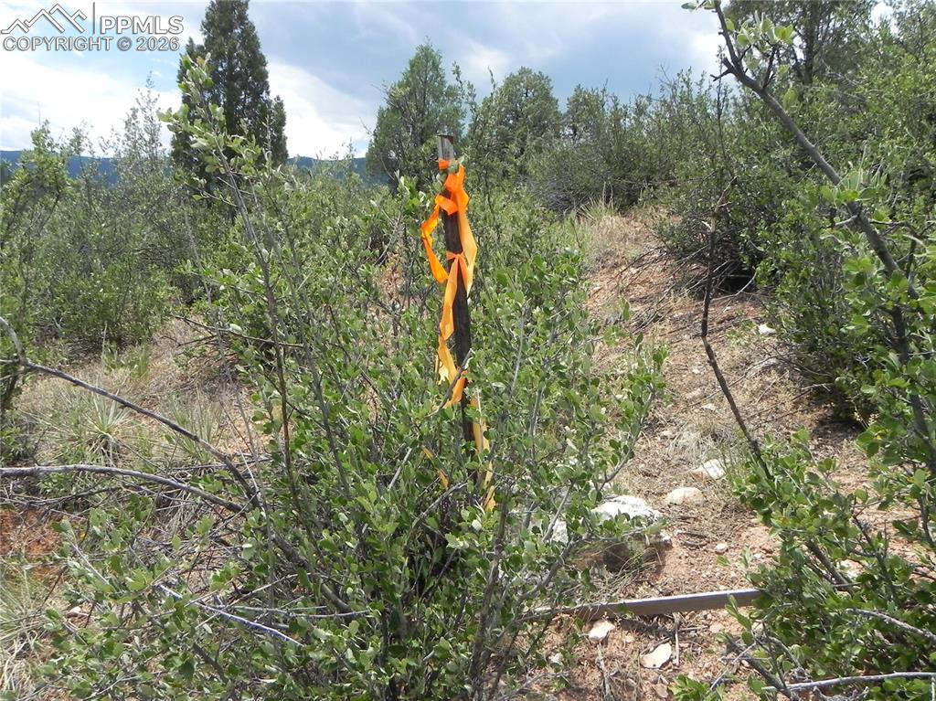 7749 Inca Road Larkspur CO 80118