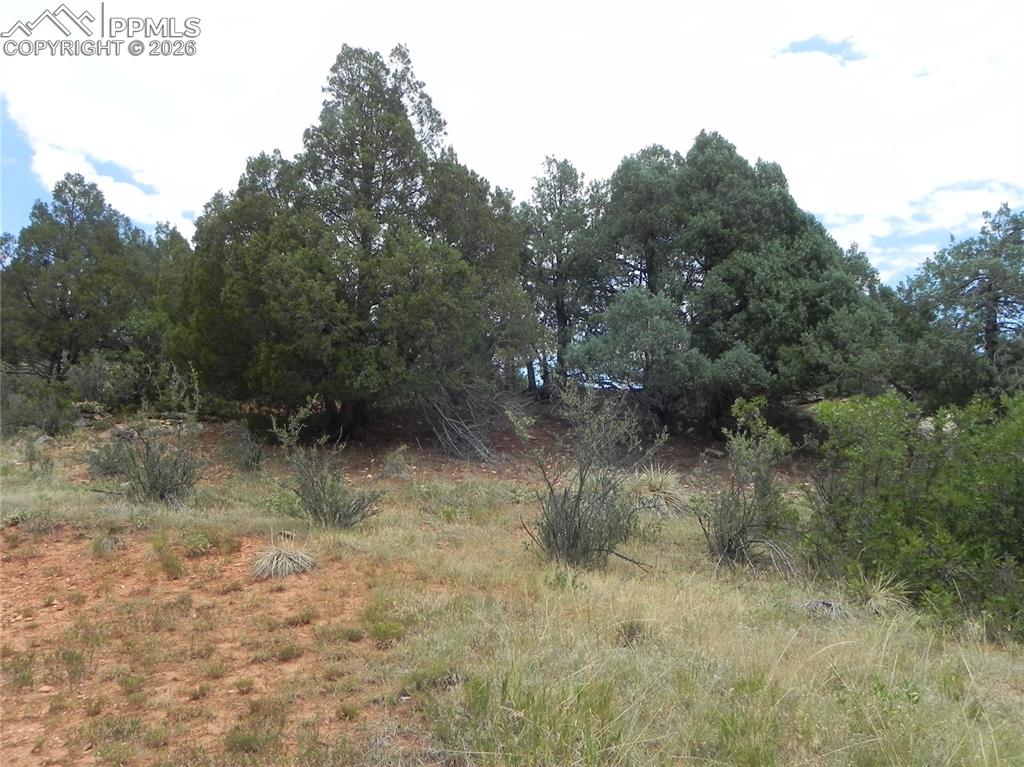 7749 Inca Road Larkspur CO 80118