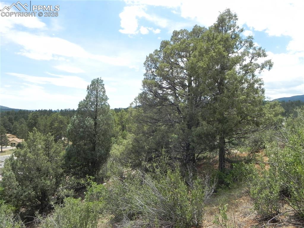 7749 Inca Road Larkspur CO 80118