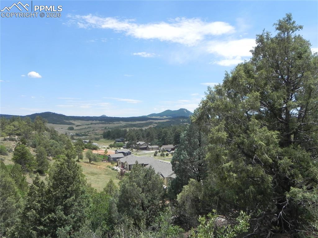 7749 Inca Road Larkspur CO 80118