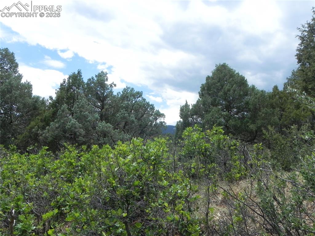 7749 Inca Road Larkspur CO 80118