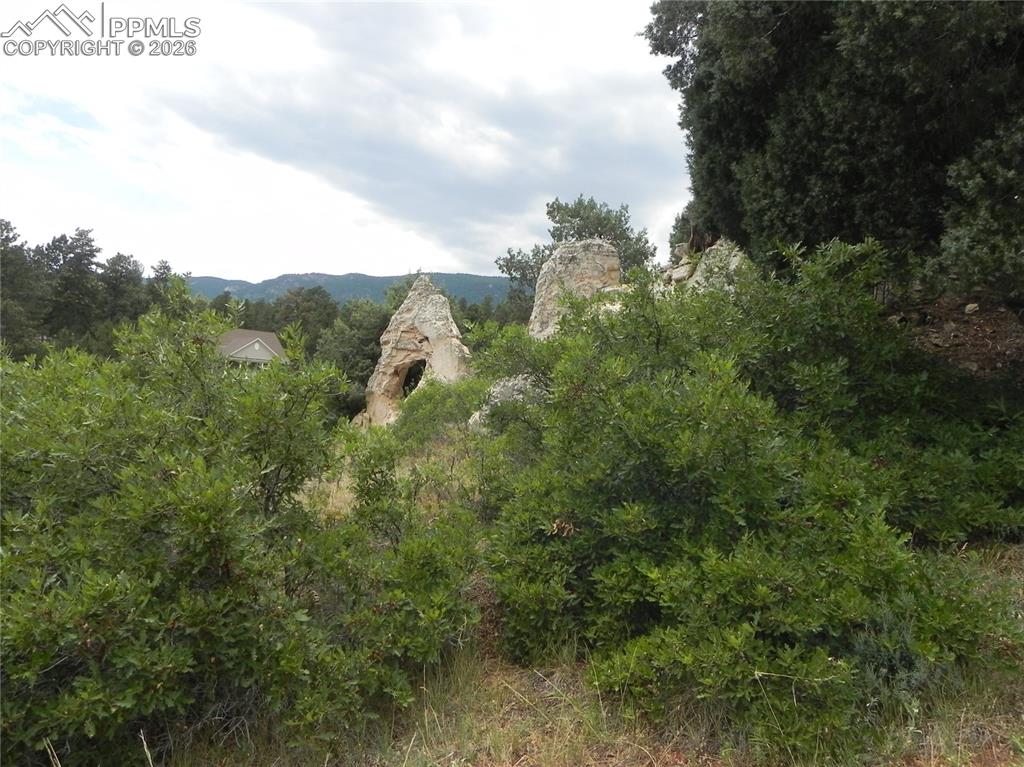 7749 Inca Road Larkspur CO 80118