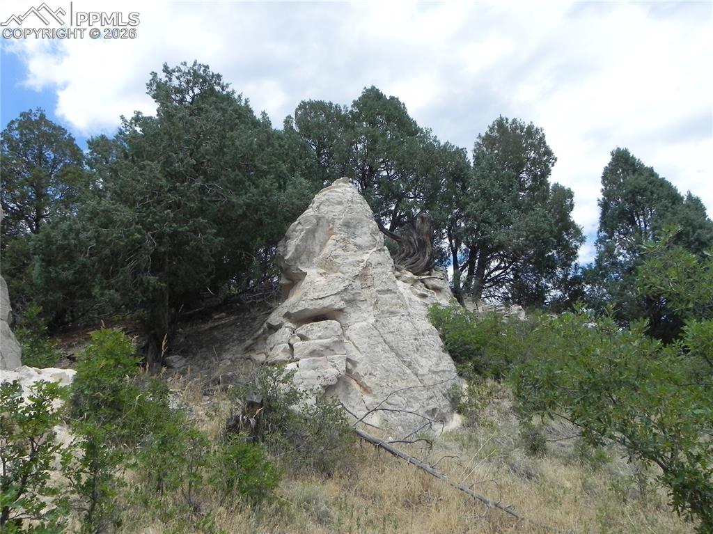 7749 Inca Road Larkspur CO 80118