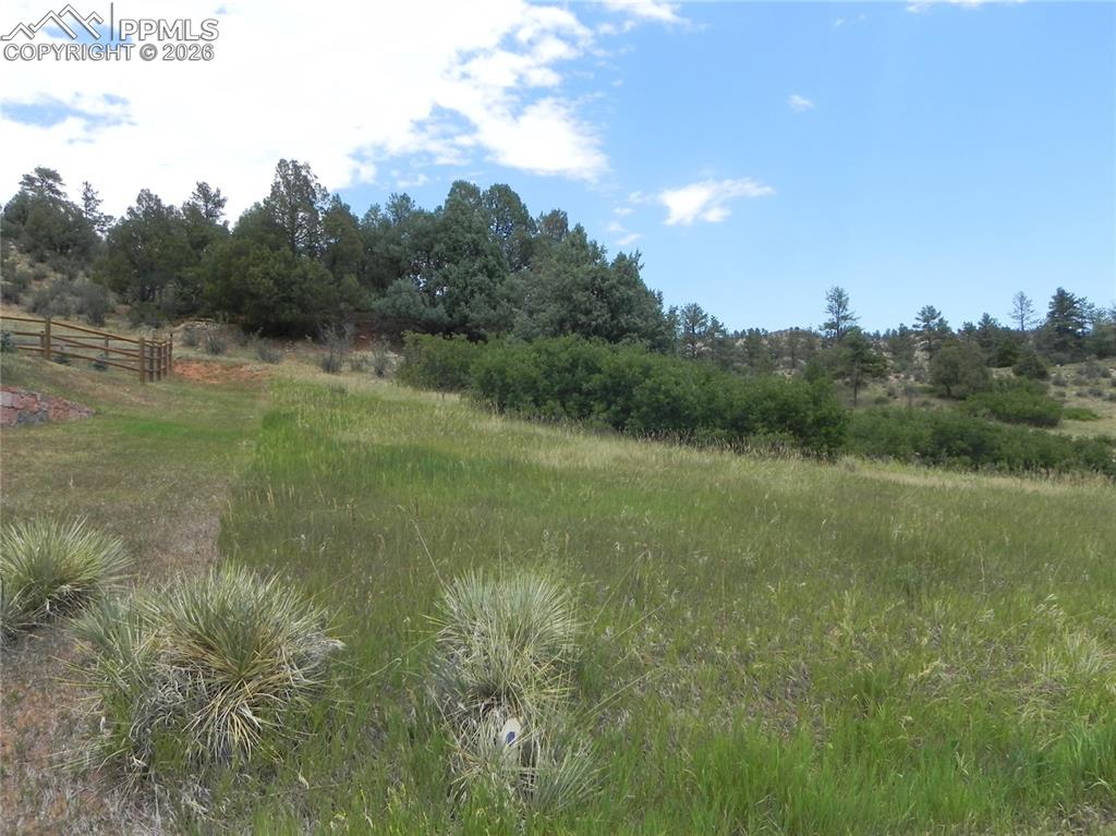 7749 Inca Road Larkspur CO 80118