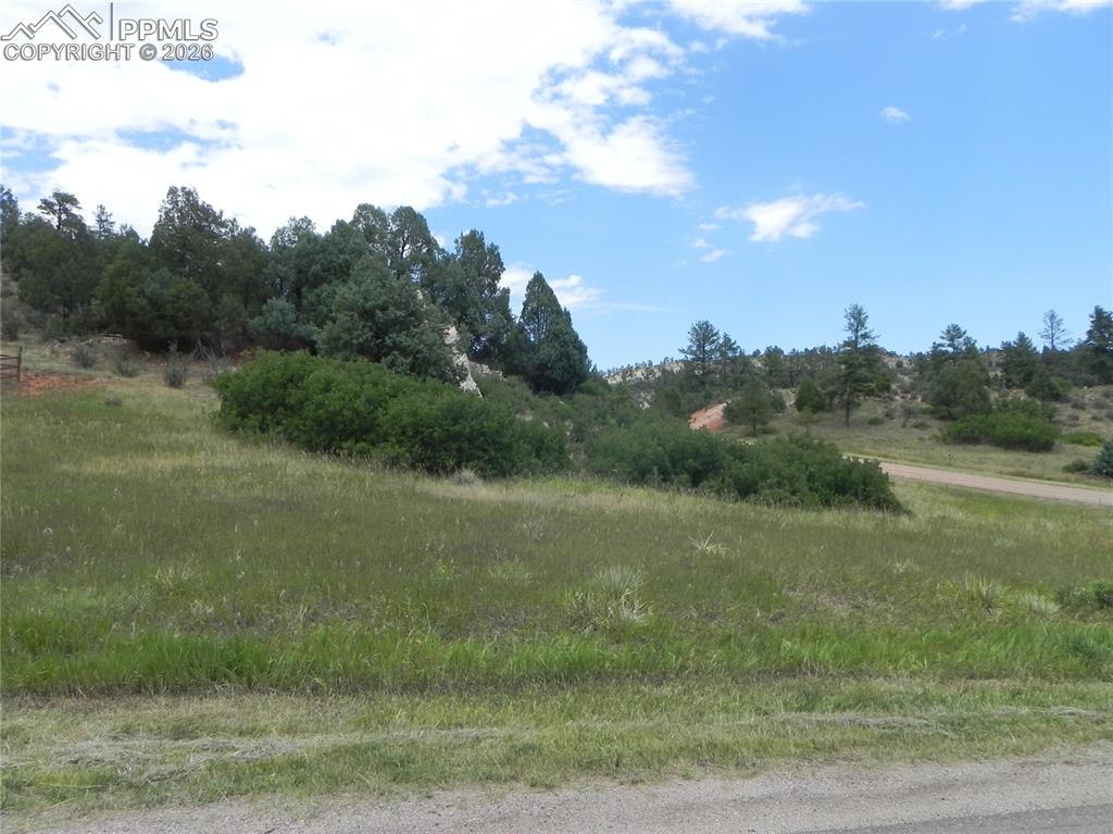 7749 Inca Road Larkspur CO 80118