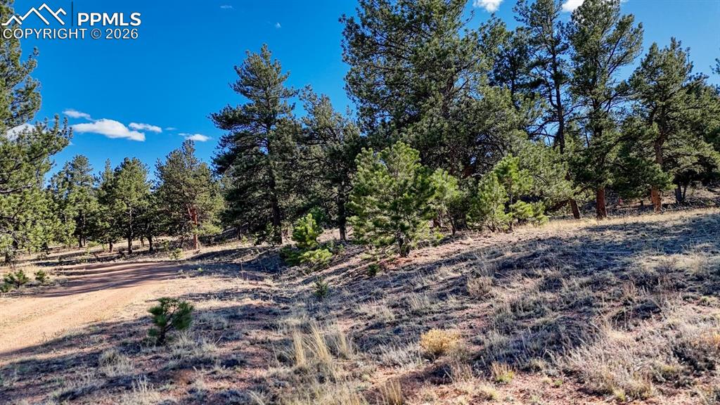 Lot 5124 Arikara Trail Hartsel CO 80449