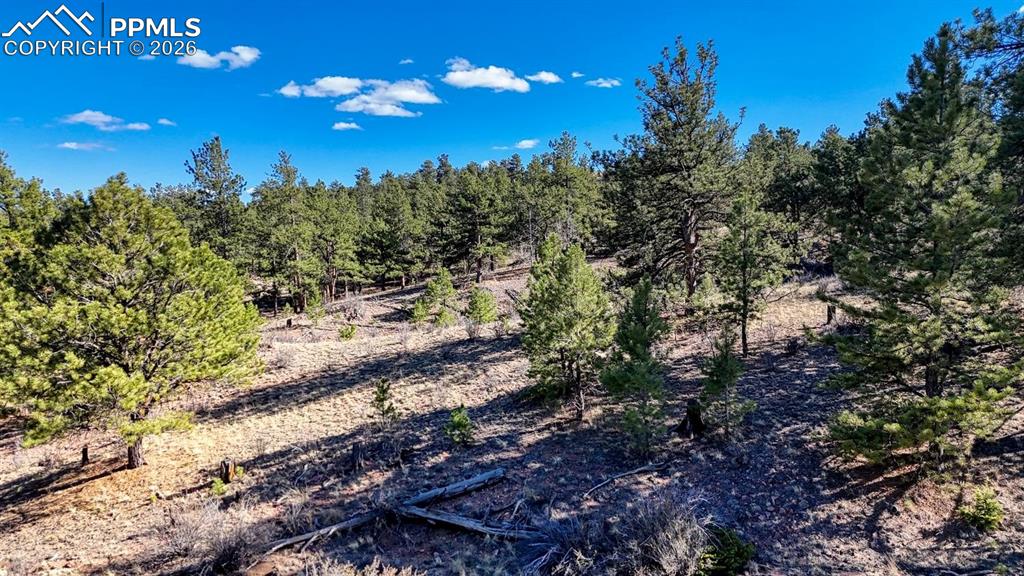Lot 5124 Arikara Trail Hartsel CO 80449