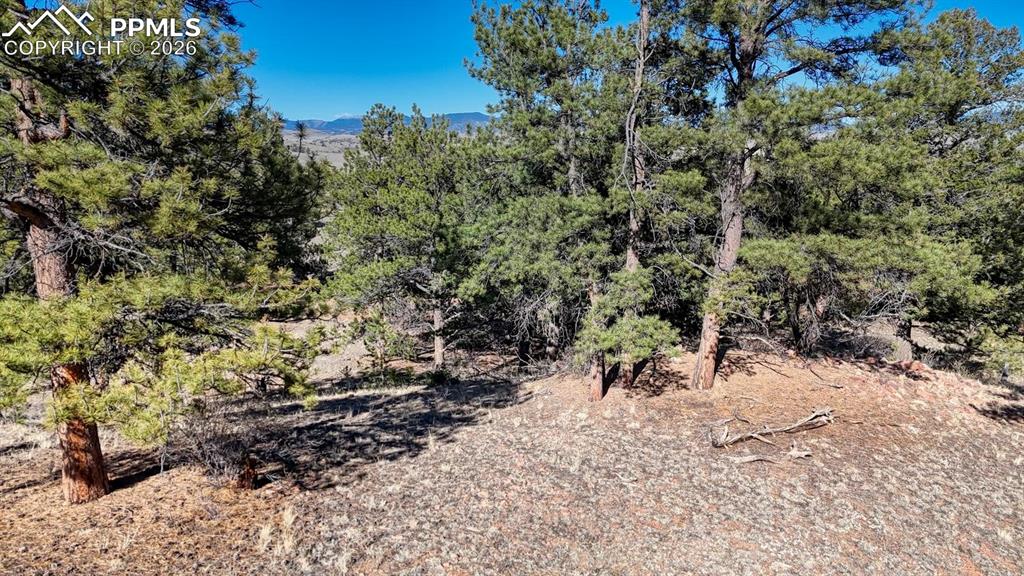 Lot 5124 Arikara Trail Hartsel CO 80449