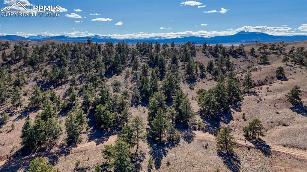 Lot 5124 Arikara Trail Hartsel CO 80449