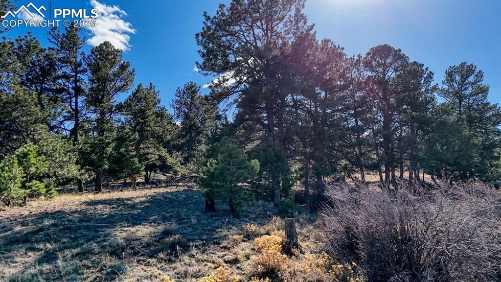 Lot 5124 Arikara Trail Hartsel CO 80449