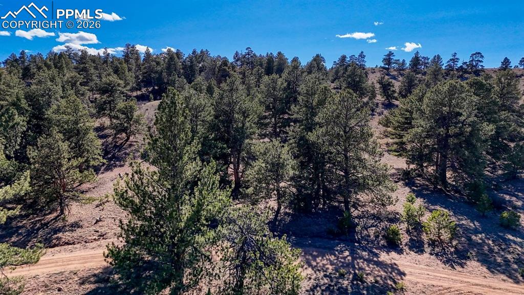 Lot 5124 Arikara Trail Hartsel CO 80449