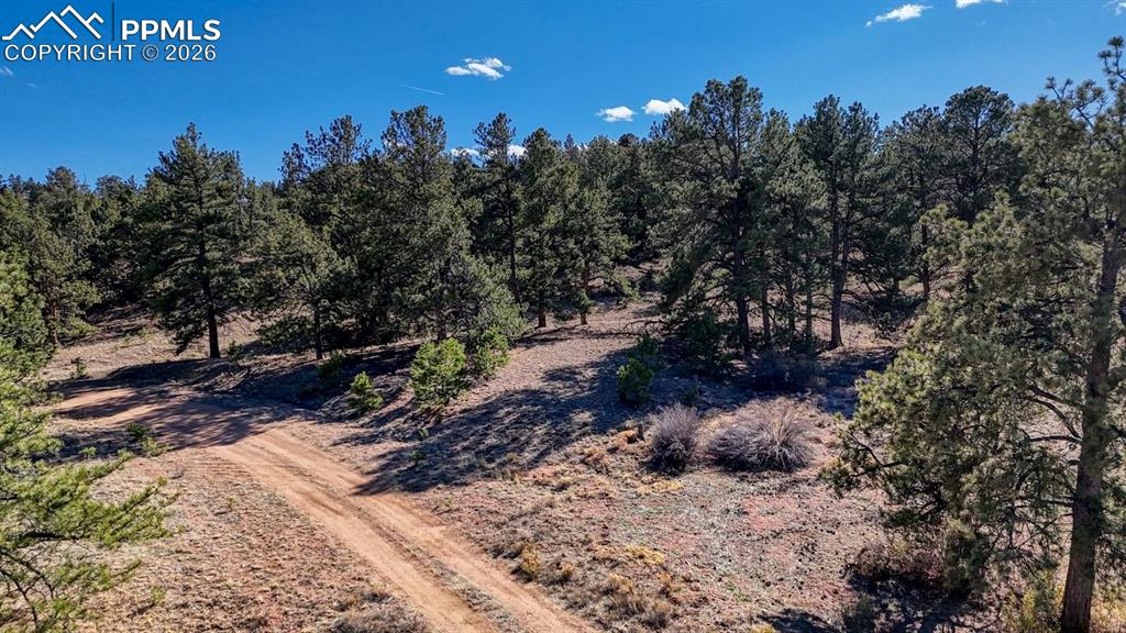 Lot 5124 Arikara Trail Hartsel CO 80449