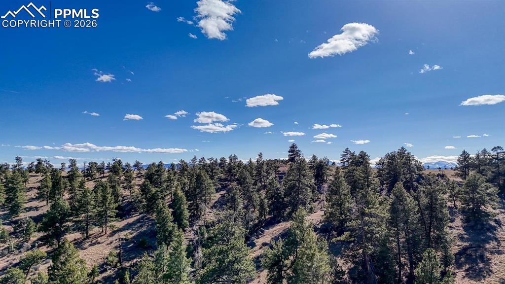Lot 5124 Arikara Trail Hartsel CO 80449