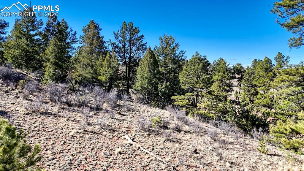 Lot 5124 Arikara Trail Hartsel CO 80449