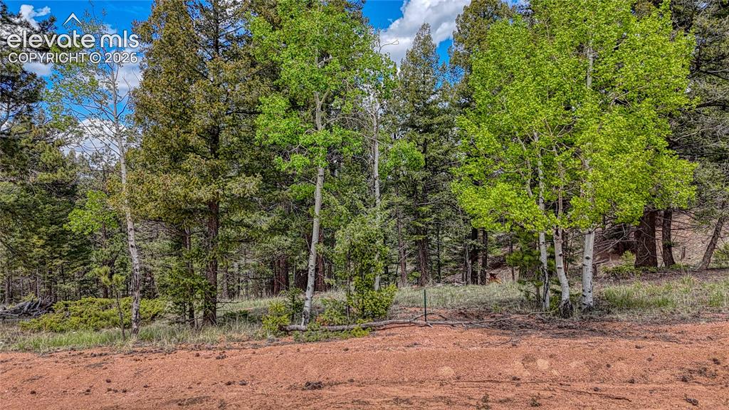 26 N Eldorado Circle Florissant CO 80816