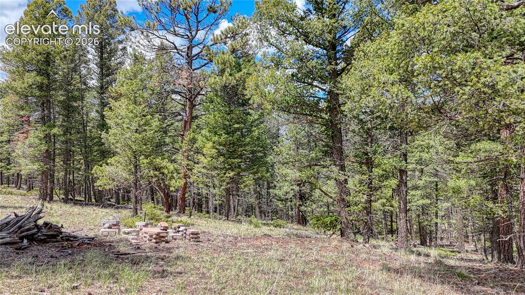 26 N Eldorado Circle Florissant CO 80816