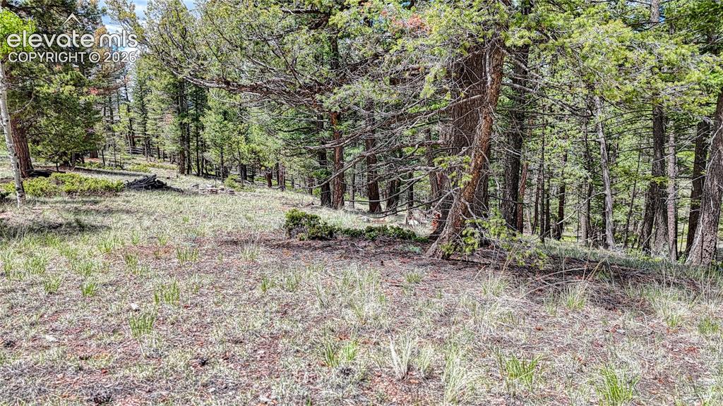 26 N Eldorado Circle Florissant CO 80816