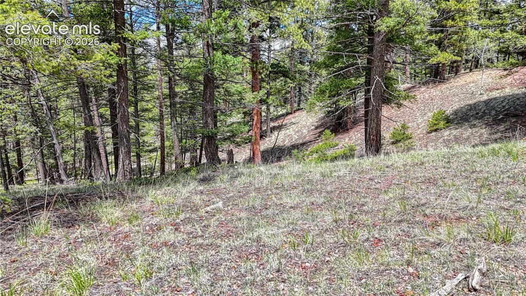 26 N Eldorado Circle Florissant CO 80816