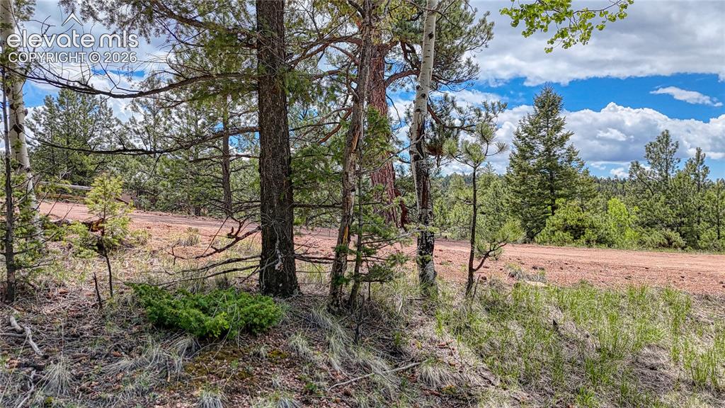 26 N Eldorado Circle Florissant CO 80816