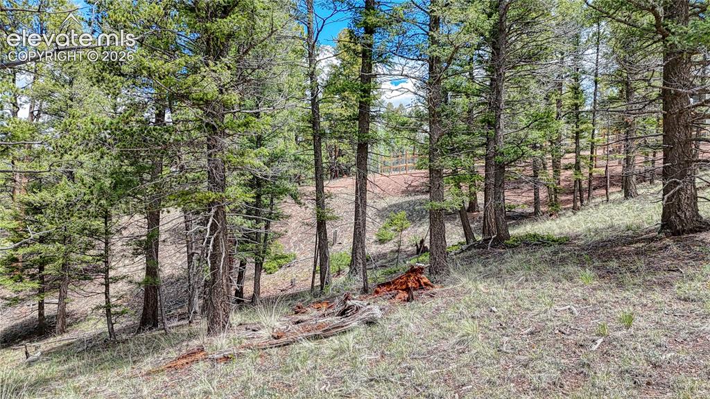 26 N Eldorado Circle Florissant CO 80816