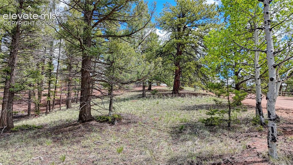 26 N Eldorado Circle Florissant CO 80816
