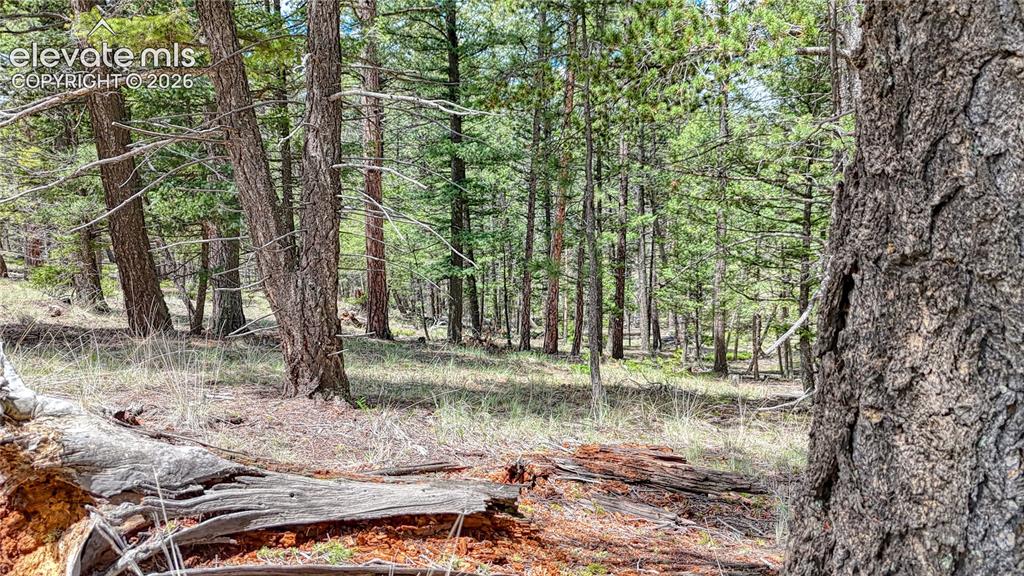 26 N Eldorado Circle Florissant CO 80816