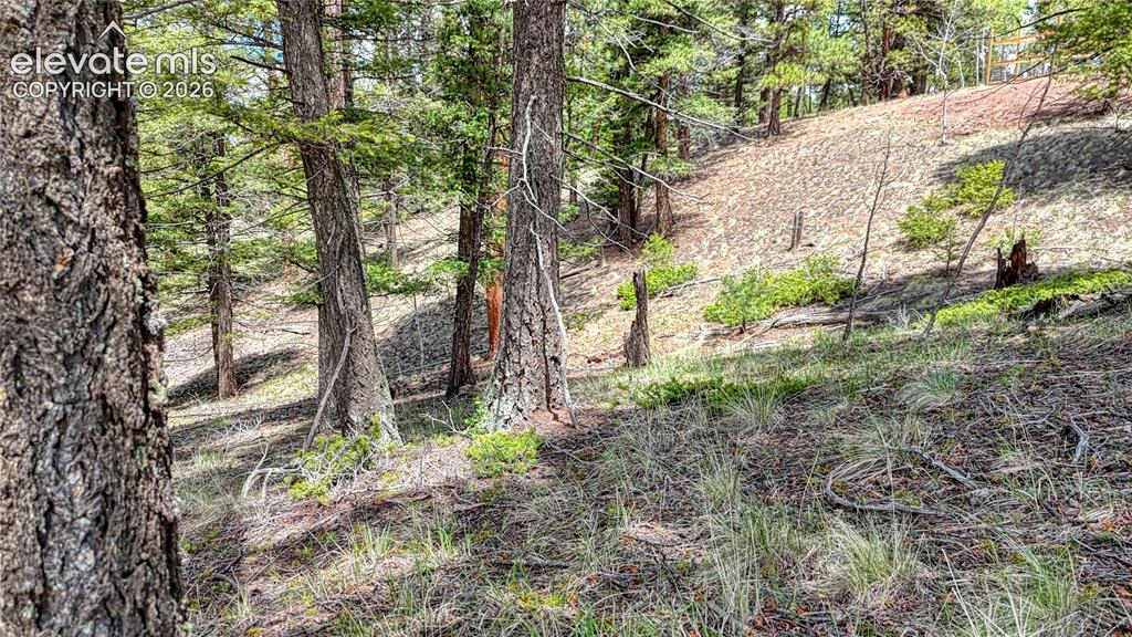 26 N Eldorado Circle Florissant CO 80816