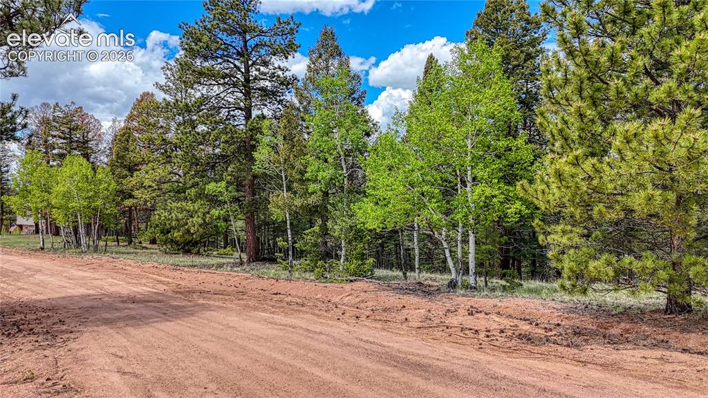 26 N Eldorado Circle Florissant CO 80816