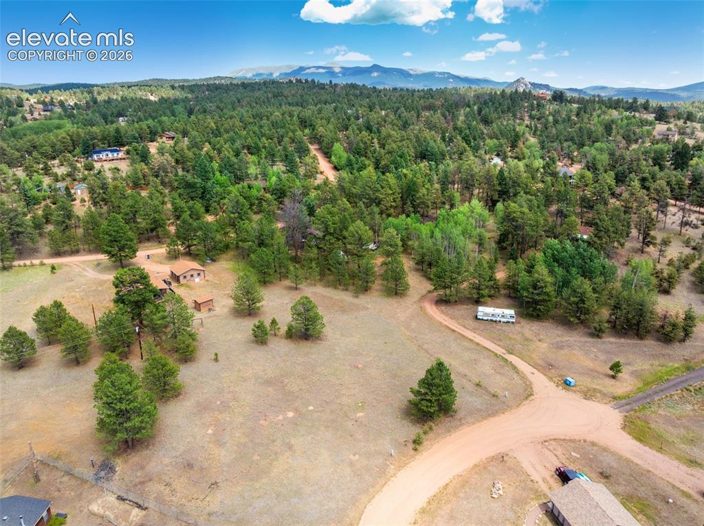91 Adair Circle Florissant CO 80816