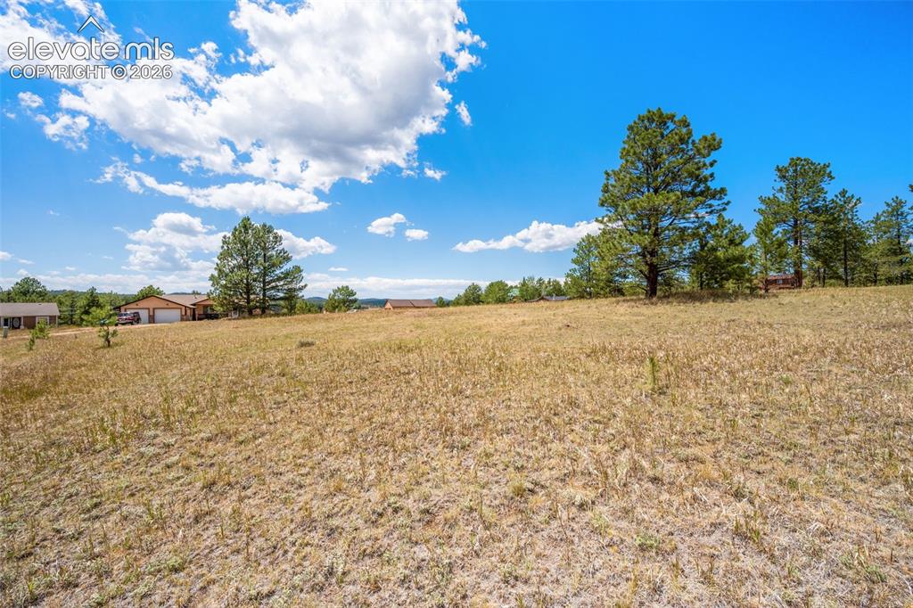 91 Adair Circle Florissant CO 80816