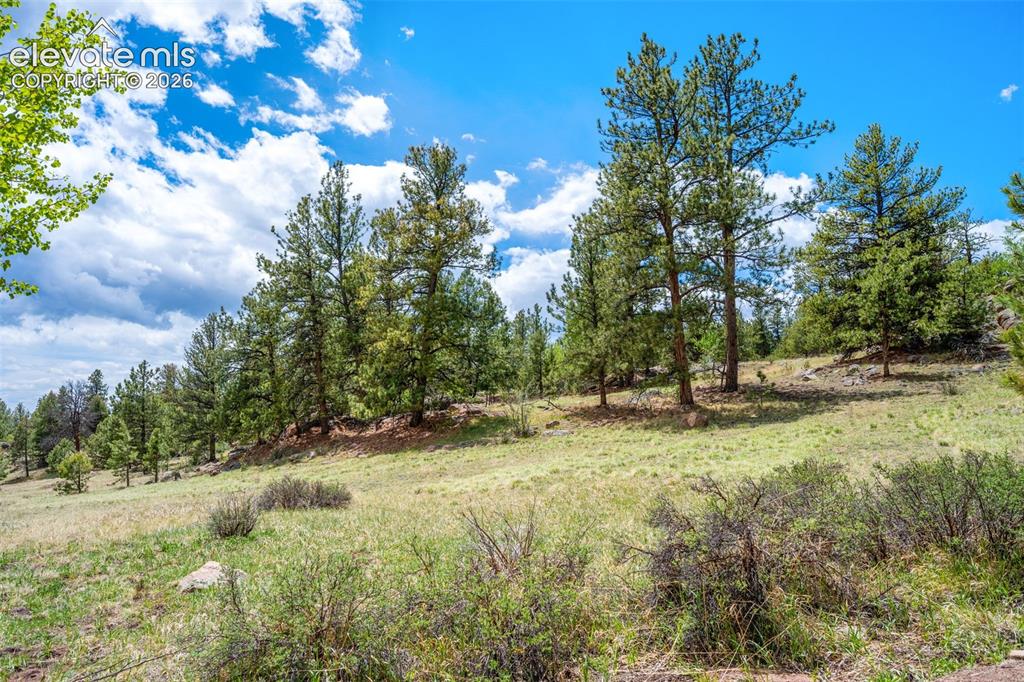 527 Plateau Drive Guffey CO 80820