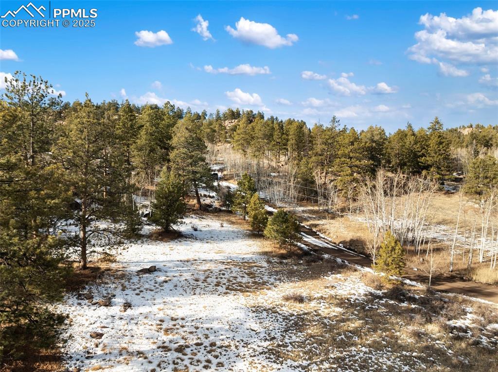 527 Plateau Drive Guffey CO 80820