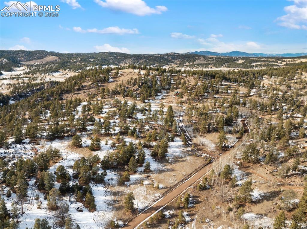 527 Plateau Drive Guffey CO 80820