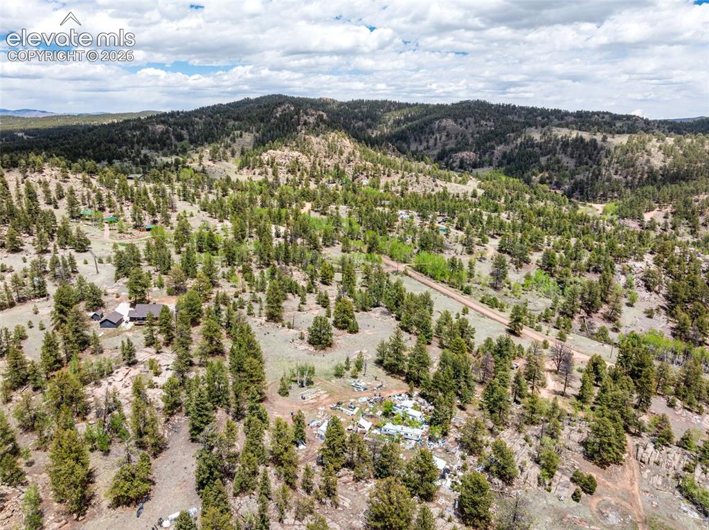 527 Plateau Drive Guffey CO 80820