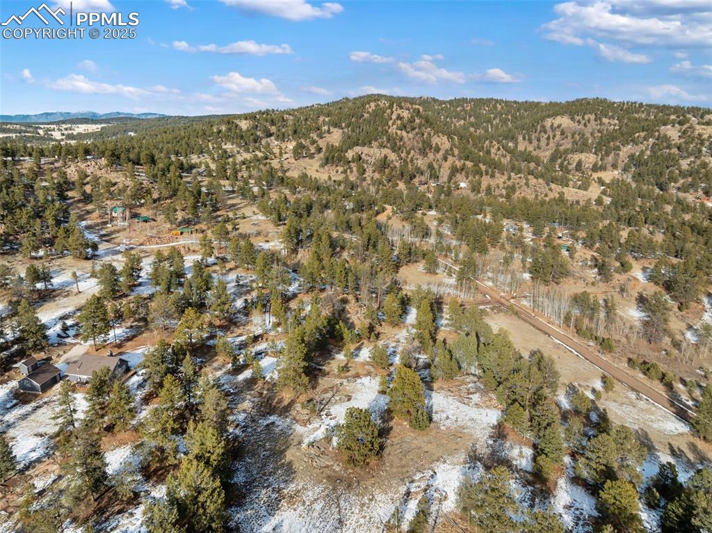527 Plateau Drive Guffey CO 80820