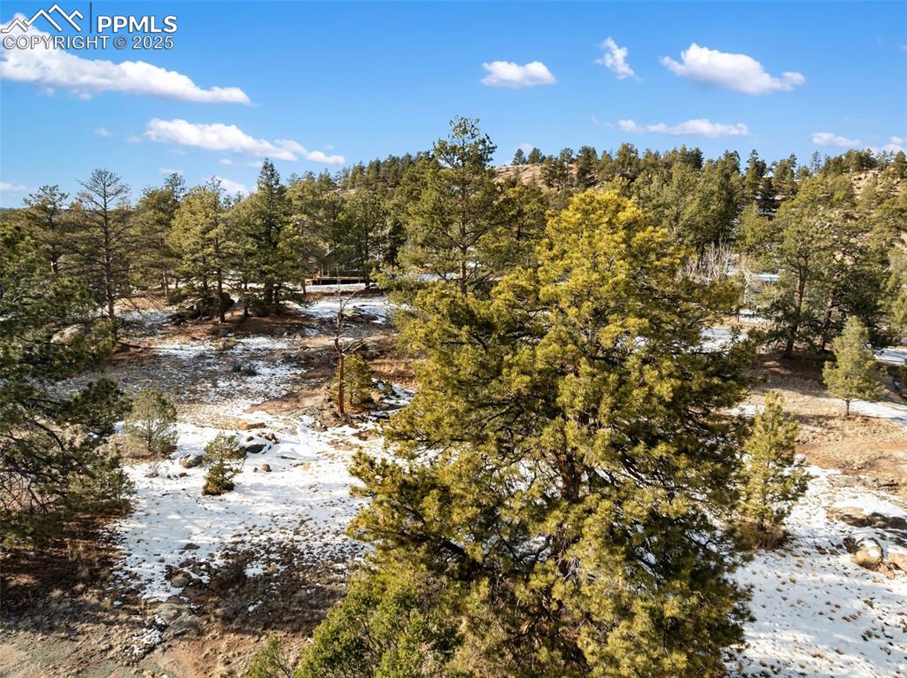 527 Plateau Drive Guffey CO 80820