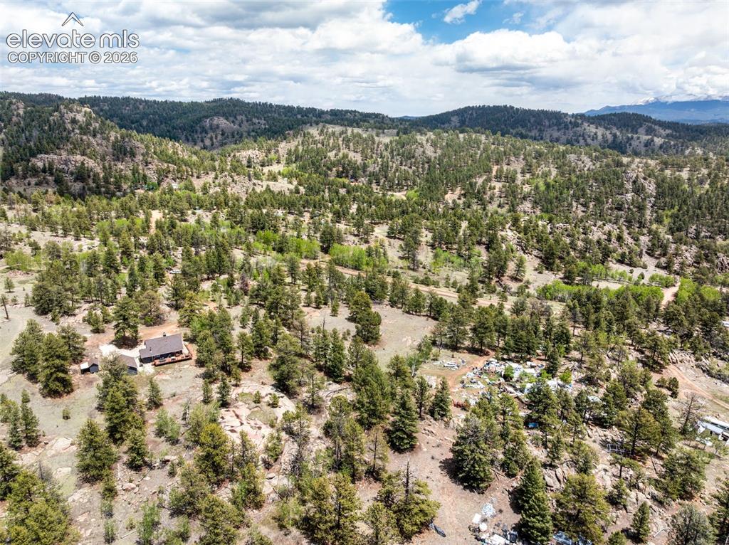 527 Plateau Drive Guffey CO 80820