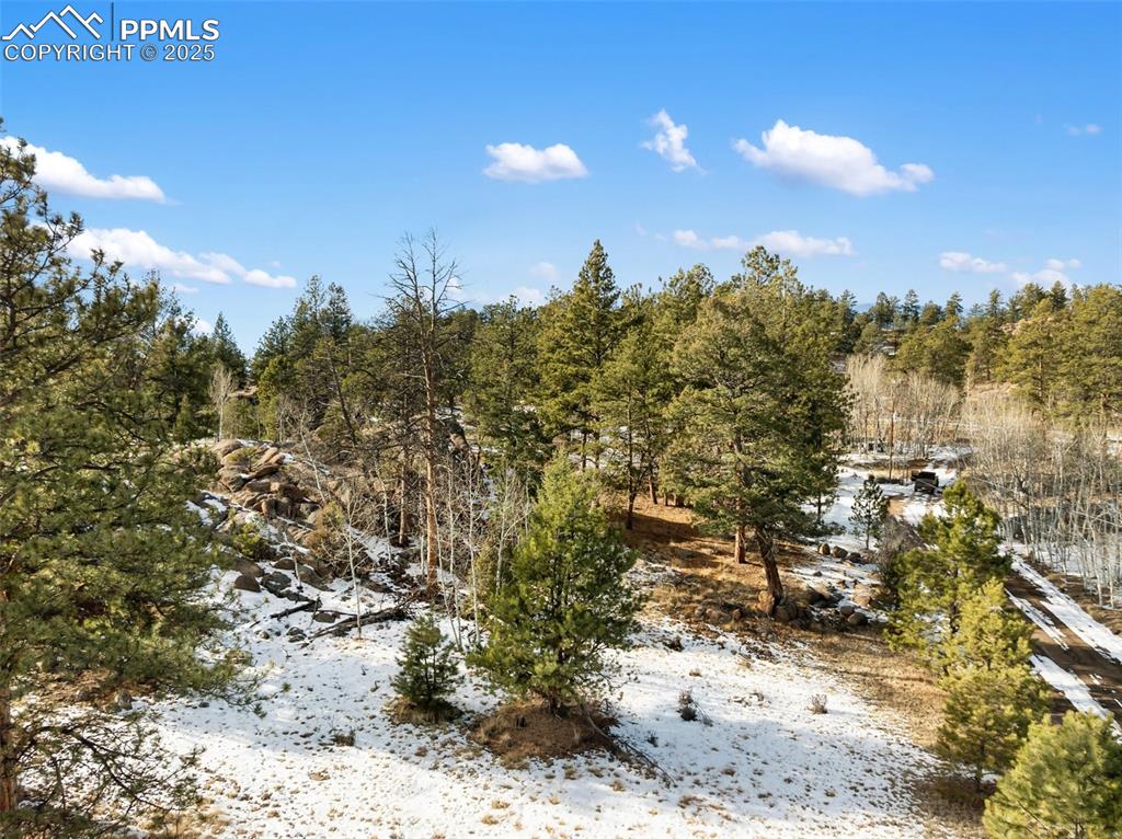 527 Plateau Drive Guffey CO 80820