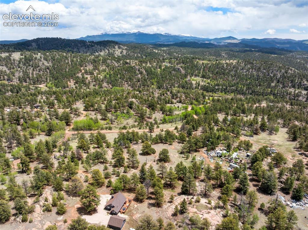 527 Plateau Drive Guffey CO 80820